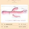Sex Toy พรีเมียม จัดส่งมิดชิด xTOYXHUB